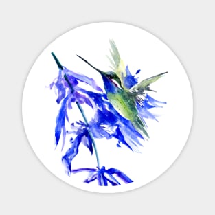 Hummingbird Flying in the Blue Magnet